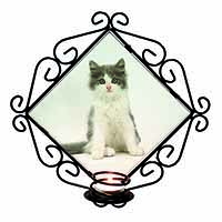 Cute Grey and White Kitten Wrought Iron Wall Art Candle Holder