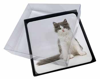 4x Cute Grey and White Kitten Picture Table Coasters Set in Gift Box