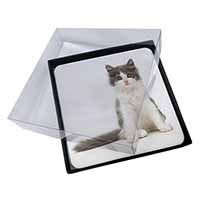 4x Cute Grey and White Kitten Picture Table Coasters Set in Gift Box