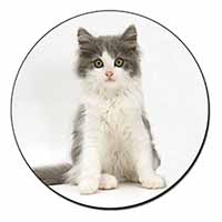 Cute Grey and White Kitten Fridge Magnet Printed Full Colour