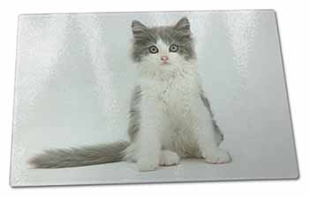 Large Glass Cutting Chopping Board Cute Grey and White Kitten