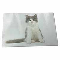 Large Glass Cutting Chopping Board Cute Grey and White Kitten