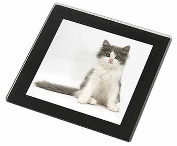 Cute Grey and White Kitten Black Rim High Quality Glass Coaster