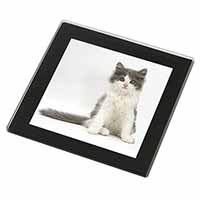 Cute Grey and White Kitten Black Rim High Quality Glass Coaster