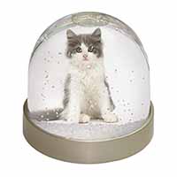 Cute Grey and White Kitten Snow Globe Photo Waterball