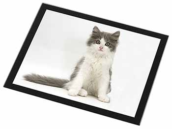 Cute Grey and White Kitten Black Rim High Quality Glass Placemat