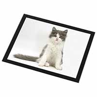 Cute Grey and White Kitten Black Rim High Quality Glass Placemat