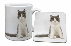 Cute Grey and White Kitten Mug and Coaster Set