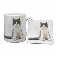 Cute Grey and White Kitten Mug and Coaster Set
