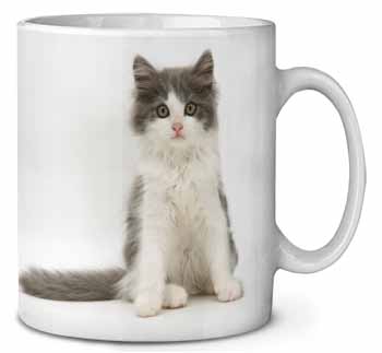 Cute Grey and White Kitten Ceramic 10oz Coffee Mug/Tea Cup