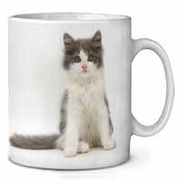 Cute Grey and White Kitten Ceramic 10oz Coffee Mug/Tea Cup