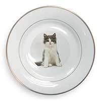 Cute Grey and White Kitten Gold Rim Plate Printed Full Colour in Gift Box