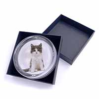 Cute Grey and White Kitten Glass Paperweight in Gift Box