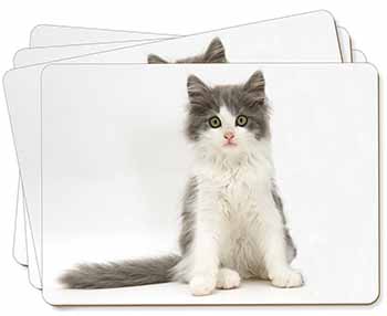 Cute Grey and White Kitten Picture Placemats in Gift Box