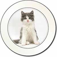 Cute Grey and White Kitten Car or Van Permit Holder/Tax Disc Holder