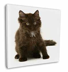 Cute Black Fluffy Kitten Square Canvas 12"x12" Wall Art Picture Print