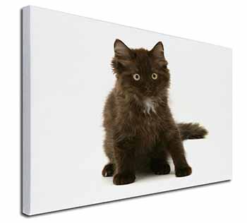 Cute Black Fluffy Kitten Canvas X-Large 30"x20" Wall Art Print