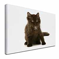 Cute Black Fluffy Kitten Canvas X-Large 30"x20" Wall Art Print