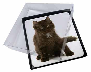 4x Cute Black Fluffy Kitten Picture Table Coasters Set in Gift Box