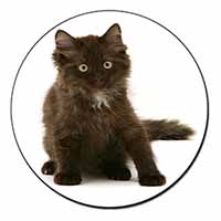 Cute Black Fluffy Kitten Fridge Magnet Printed Full Colour