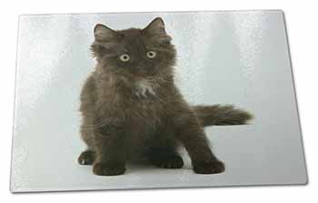 Large Glass Cutting Chopping Board Cute Black Fluffy Kitten