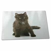 Large Glass Cutting Chopping Board Cute Black Fluffy Kitten