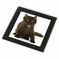 Cute Black Fluffy Kitten Black Rim High Quality Glass Coaster