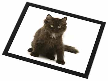 Cute Black Fluffy Kitten Black Rim High Quality Glass Placemat