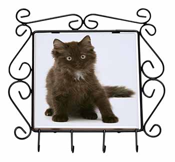 Cute Black Fluffy Kitten Wrought Iron Key Holder Hooks