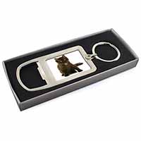 Cute Black Fluffy Kitten Chrome Metal Bottle Opener Keyring in Box