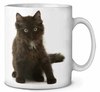 Cute Black Fluffy Kitten Ceramic 10oz Coffee Mug/Tea Cup