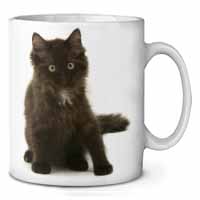 Cute Black Fluffy Kitten Ceramic 10oz Coffee Mug/Tea Cup