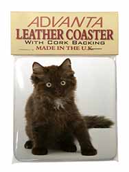 Cute Black Fluffy Kitten Single Leather Photo Coaster