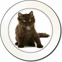 Cute Black Fluffy Kitten Car or Van Permit Holder/Tax Disc Holder