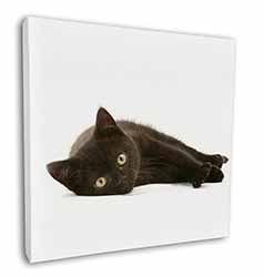 Stunning Black Cat Square Canvas 12"x12" Wall Art Picture Print