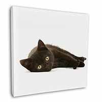 Stunning Black Cat Square Canvas 12"x12" Wall Art Picture Print