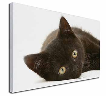 Stunning Black Cat Canvas X-Large 30"x20" Wall Art Print