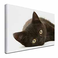 Stunning Black Cat Canvas X-Large 30"x20" Wall Art Print