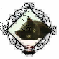 Stunning Black Cat Wrought Iron Wall Art Candle Holder