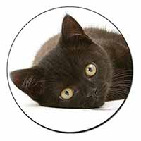 Stunning Black Cat Fridge Magnet Printed Full Colour