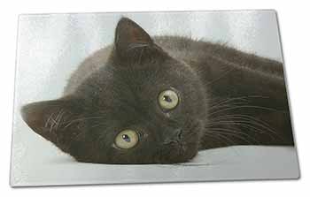 Large Glass Cutting Chopping Board Stunning Black Cat