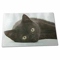 Large Glass Cutting Chopping Board Stunning Black Cat