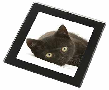Stunning Black Cat Black Rim High Quality Glass Coaster