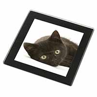 Stunning Black Cat Black Rim High Quality Glass Coaster