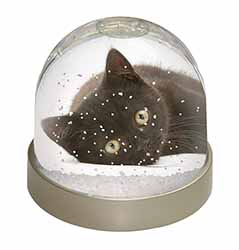 Stunning Black Cat Snow Globe Photo Waterball