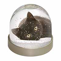 Stunning Black Cat Snow Globe Photo Waterball