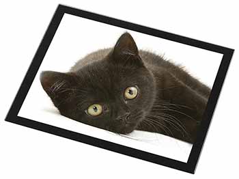 Stunning Black Cat Black Rim High Quality Glass Placemat
