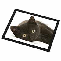 Stunning Black Cat Black Rim High Quality Glass Placemat