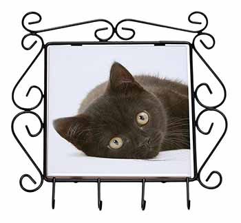 Stunning Black Cat Wrought Iron Key Holder Hooks