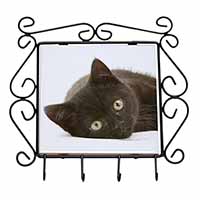 Stunning Black Cat Wrought Iron Key Holder Hooks